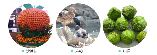 微信图片_20191207184402.png