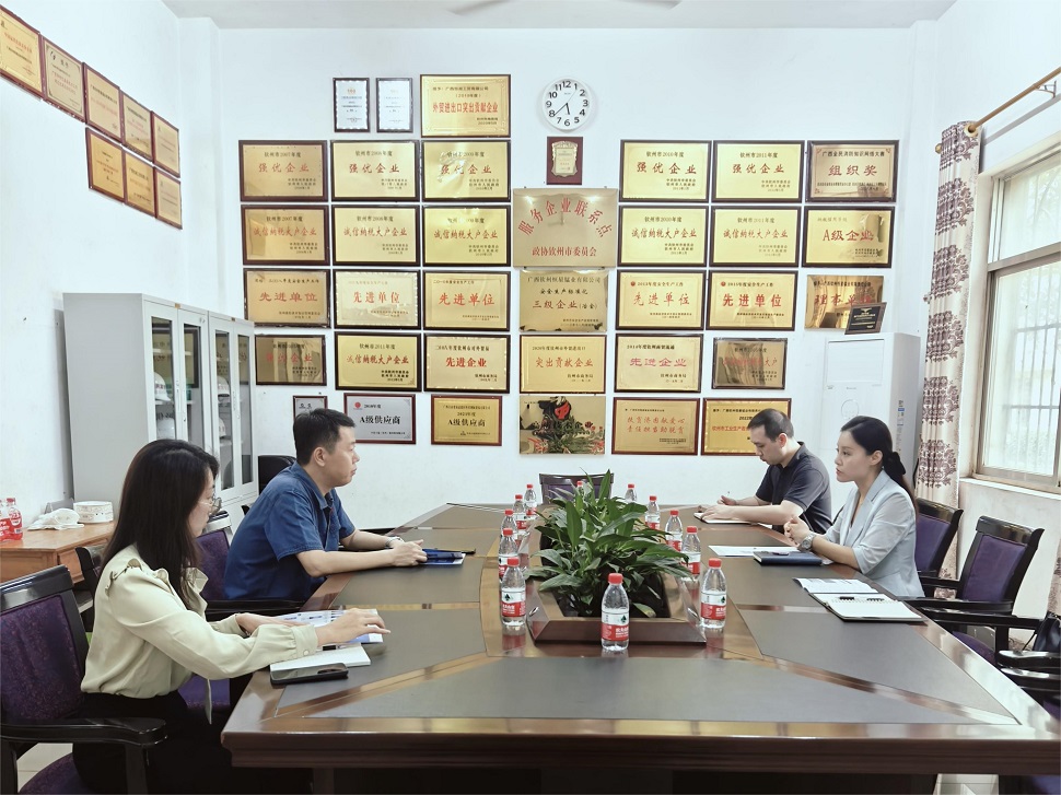 恒星锰业座谈(1)(1).jpg